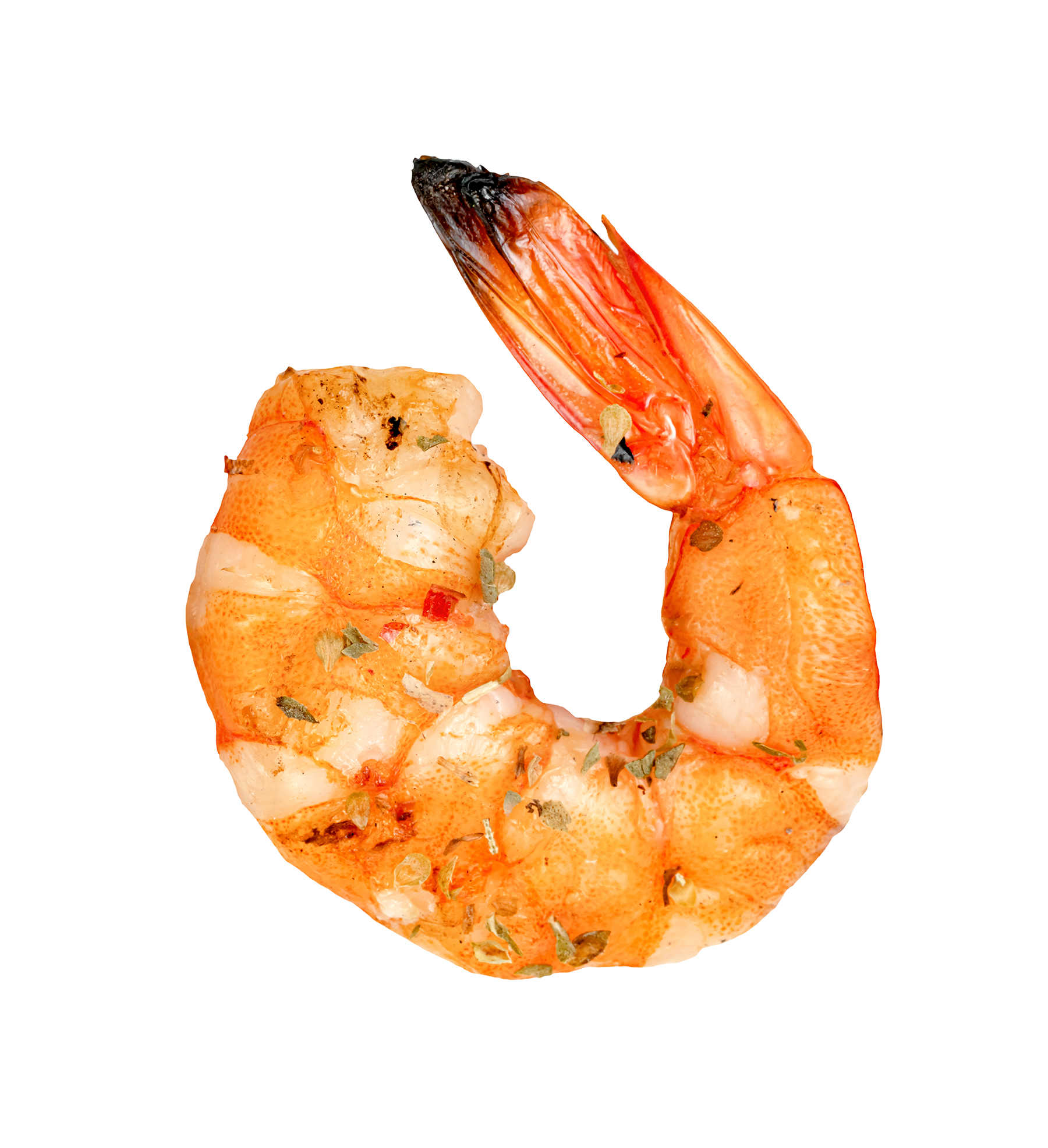 shutterstock_1743656735